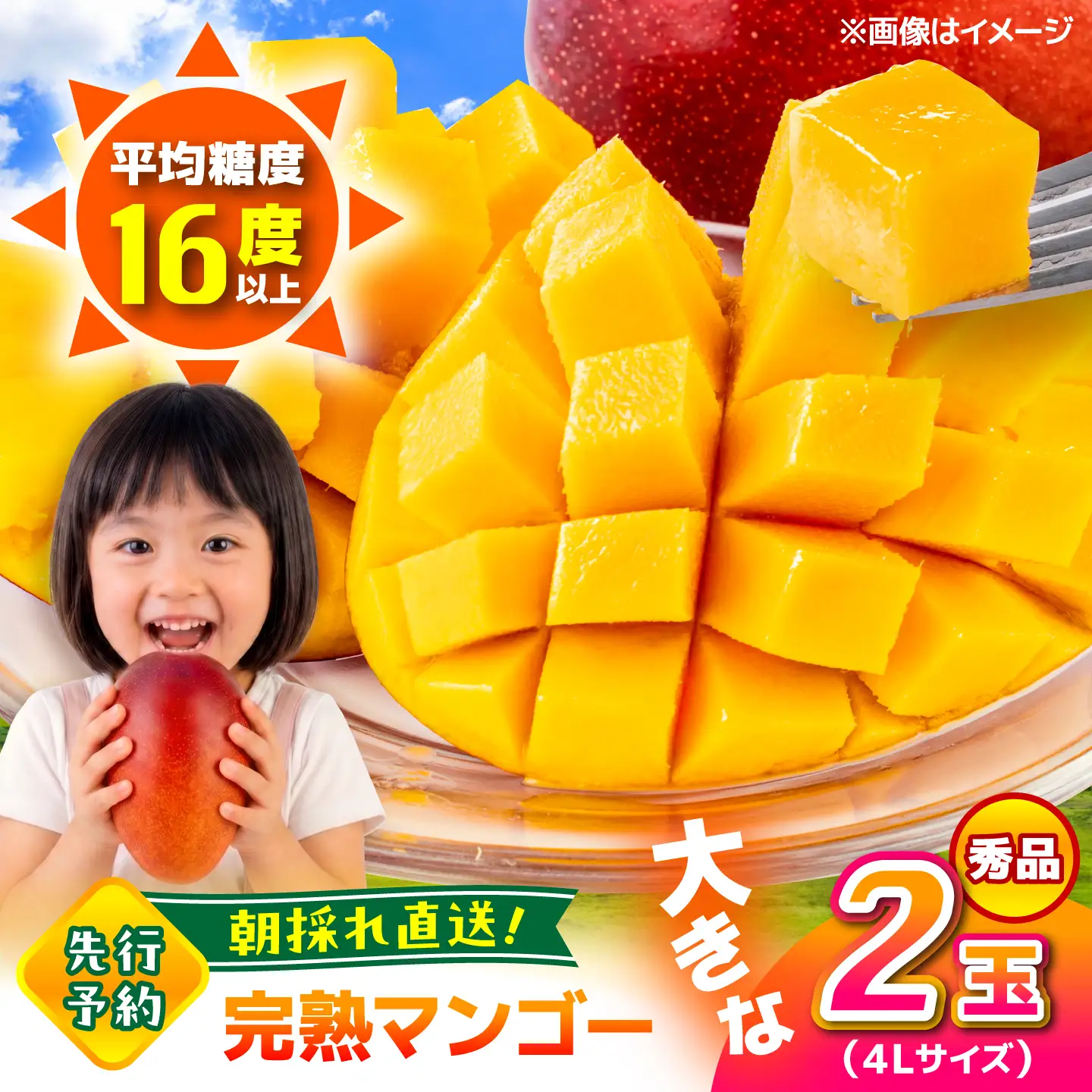 【2026年6月上旬から順次発送】秀品 菊池マンゴー2玉 4Lサイズ 友枝マンゴー農園[AYDF006]