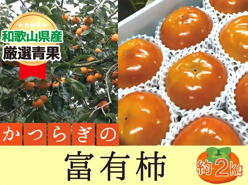 柿 富有柿【秀品】和歌山県産 約2kg 【2026年11月中旬から2026年12月上旬発送】｜柿 富有柿  フルーツ 果物  【A242-frks136A】