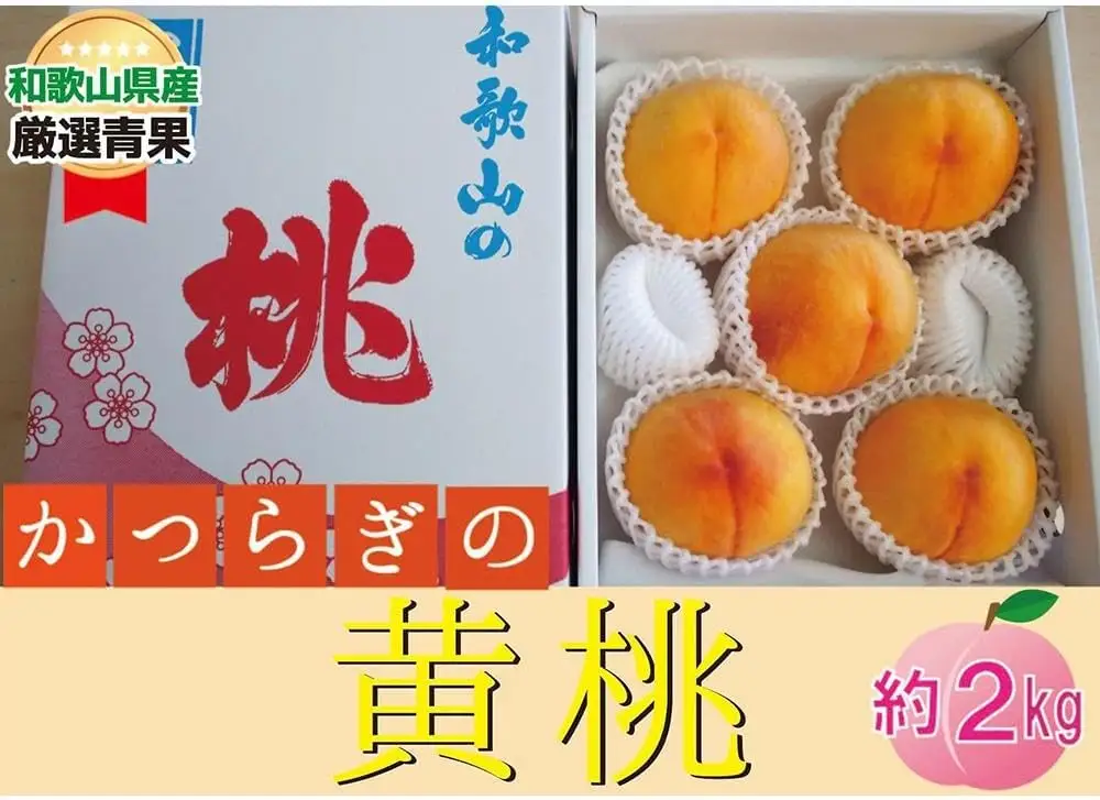 ★かつらぎの黄桃★＜品種おまかせ＞約2kg(5～8玉)【2026年6月下旬～2026年8月上旬順次発送】｜桃 黄桃  フルーツ 果物  【A256-frks149】