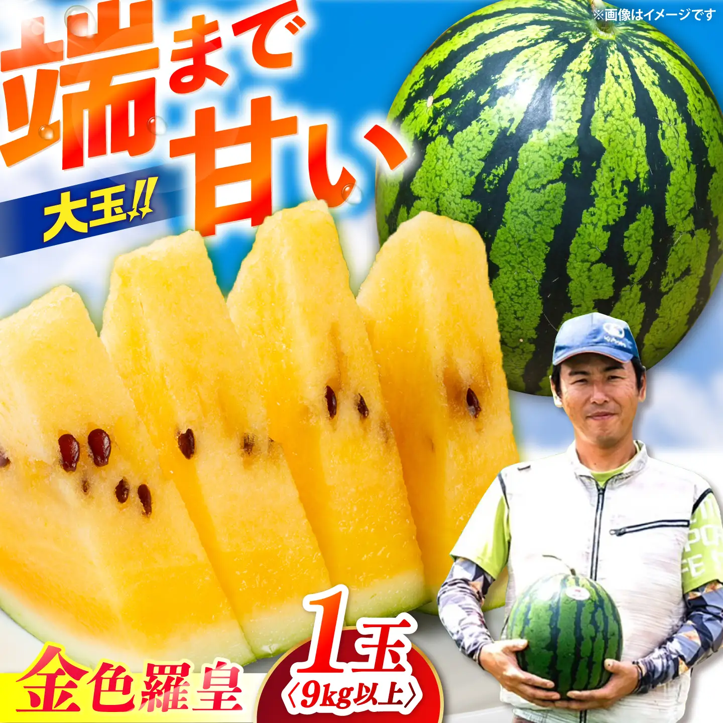 3L～4Lサイズ】 勝田農園の自信満々大玉スイカ 金色羅皇1玉（9kg以上
