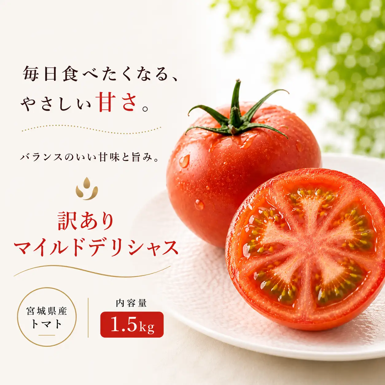 【訳あり】トマト デリシャスファームのトマト 訳ありマイルドデリシャス 1.5kg （６～7玉） / とまと 野菜 産地直送 農家直送【delf050】
