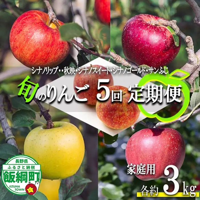 旬のりんご 【 定期便 】 家庭用 3kg × 5回 信州いいづな 相澤農園株式会社 沖縄県への配送不可 2026年9月上旬頃から2026年12月中旬頃まで順次発送予定 令和8年度収穫分 長野県 飯綱町 [1858]