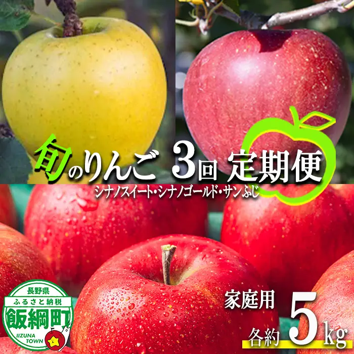 旬のりんご 【 定期便 】 家庭用 5kg ×3回 信州いいづな 相澤農園株式