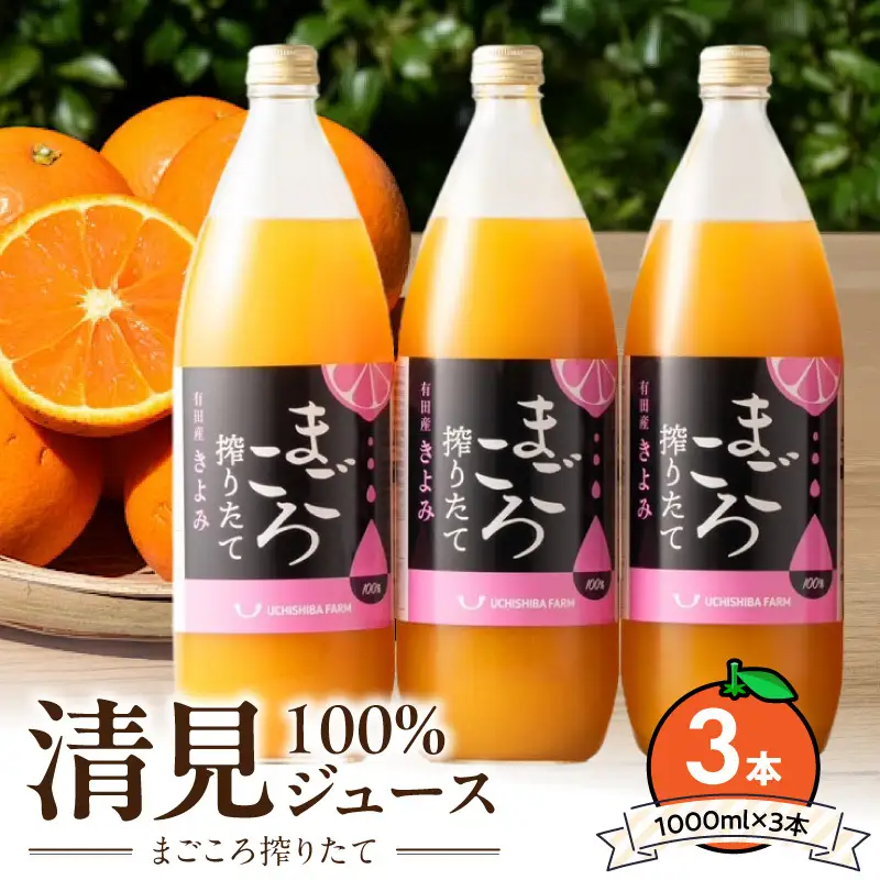 ZE6522_【まごころ搾りたて】清見100%ジュース 1000ml×3本
