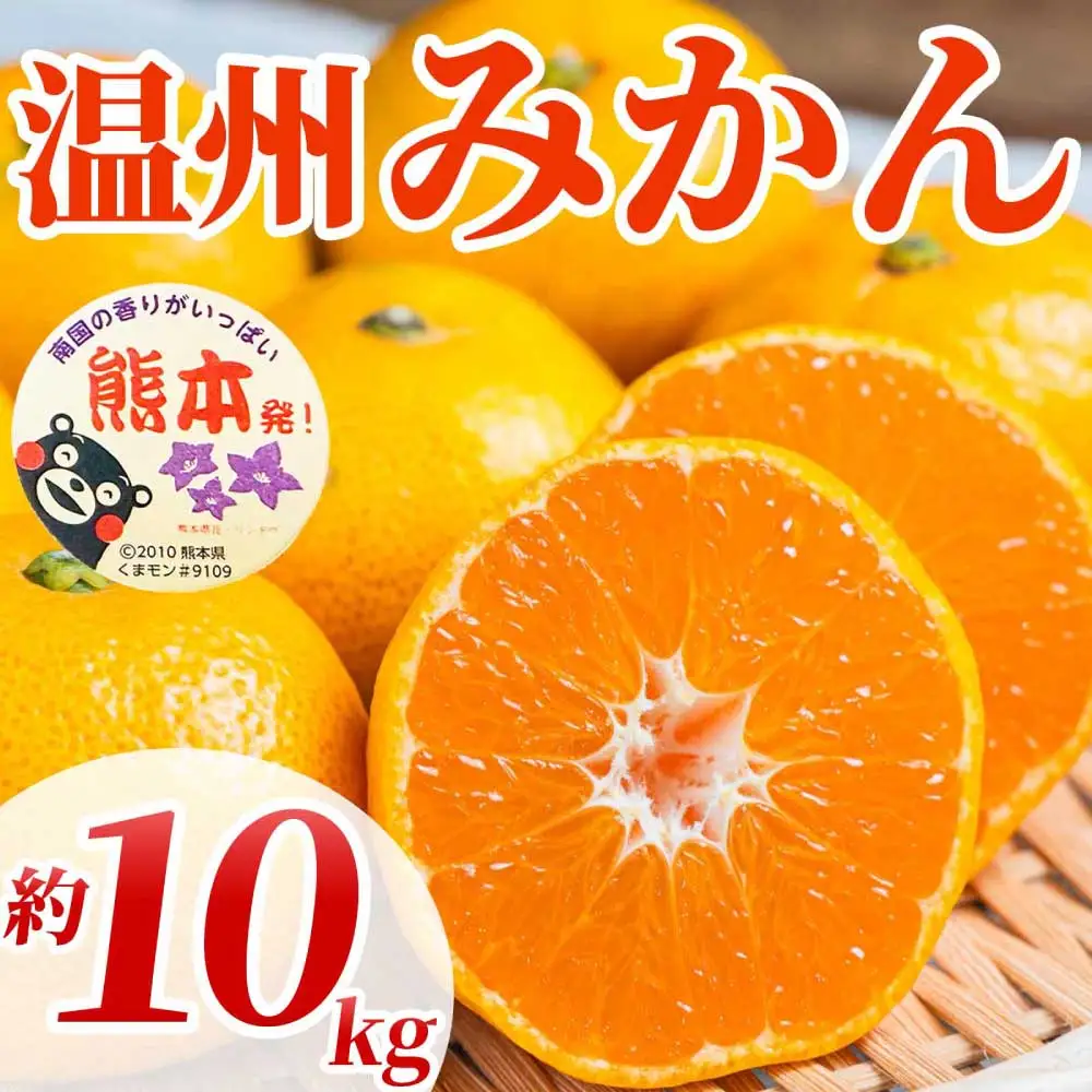 先行予約 温州みかん 約10㎏ （2S～2L）【2026年10月上旬～2027年2月下旬配送予定】