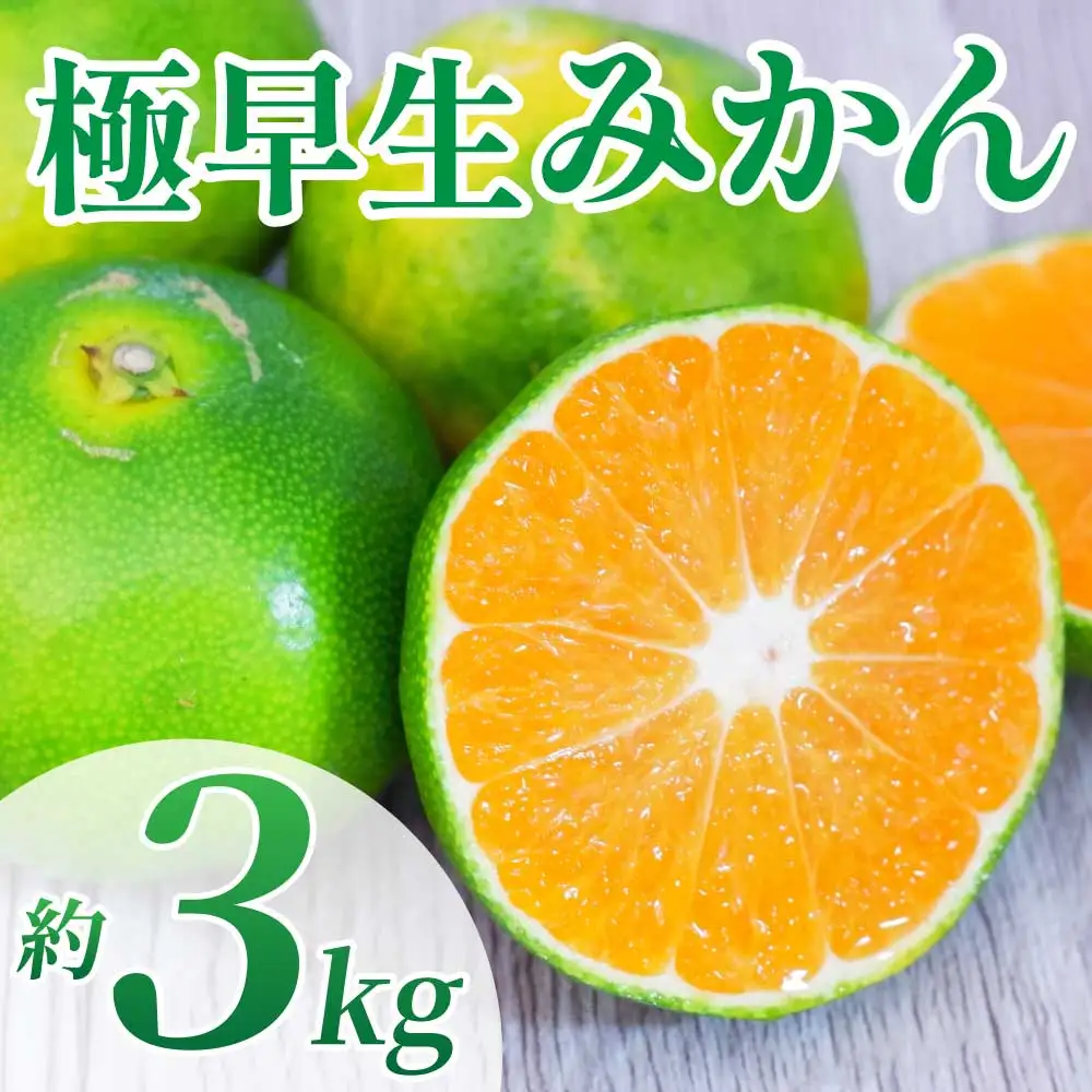 先行予約 極早生みかん 約3kg (2S～2L)【2026年10月上旬～2026年10月下旬配送予定】