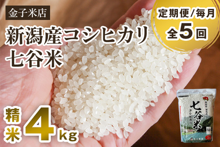 【令和7年産】【定期便5ヶ月毎月お届け】老舗米穀店が厳選 新潟県加茂市産コシヒカリ「七谷米」精米4kg（2kg×2）〈順次出荷〉 従来品種 金子米店