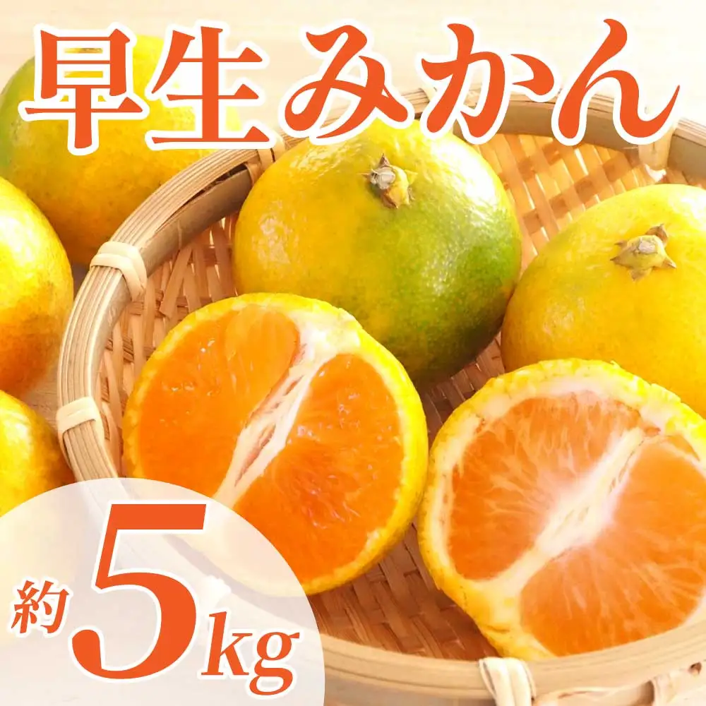 先行予約  早生みかん 約5㎏ (2S～2L)【2026年11月上旬～2026年11月下旬配送予定】