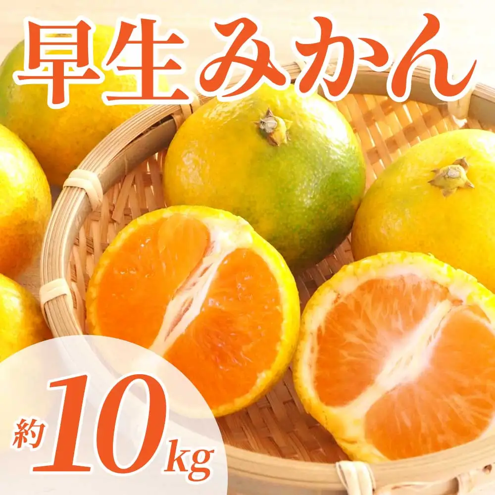 先行予約 早生みかん 約10㎏ (2S～2L)【2026年11月上旬～2026年11月下旬配送予定】