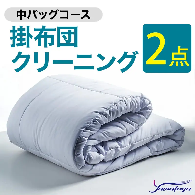 掛布団クリーニング 2点パック 中バッグコース 【丁寧 丸洗い セミダブル 掛け布団 寝具 こたつ 丸洗い クリーニング シーツ 高品質ヤマトヤクリーニング 糸魚川 帰省 年末年始 実家 寝具 布団クリーニング】