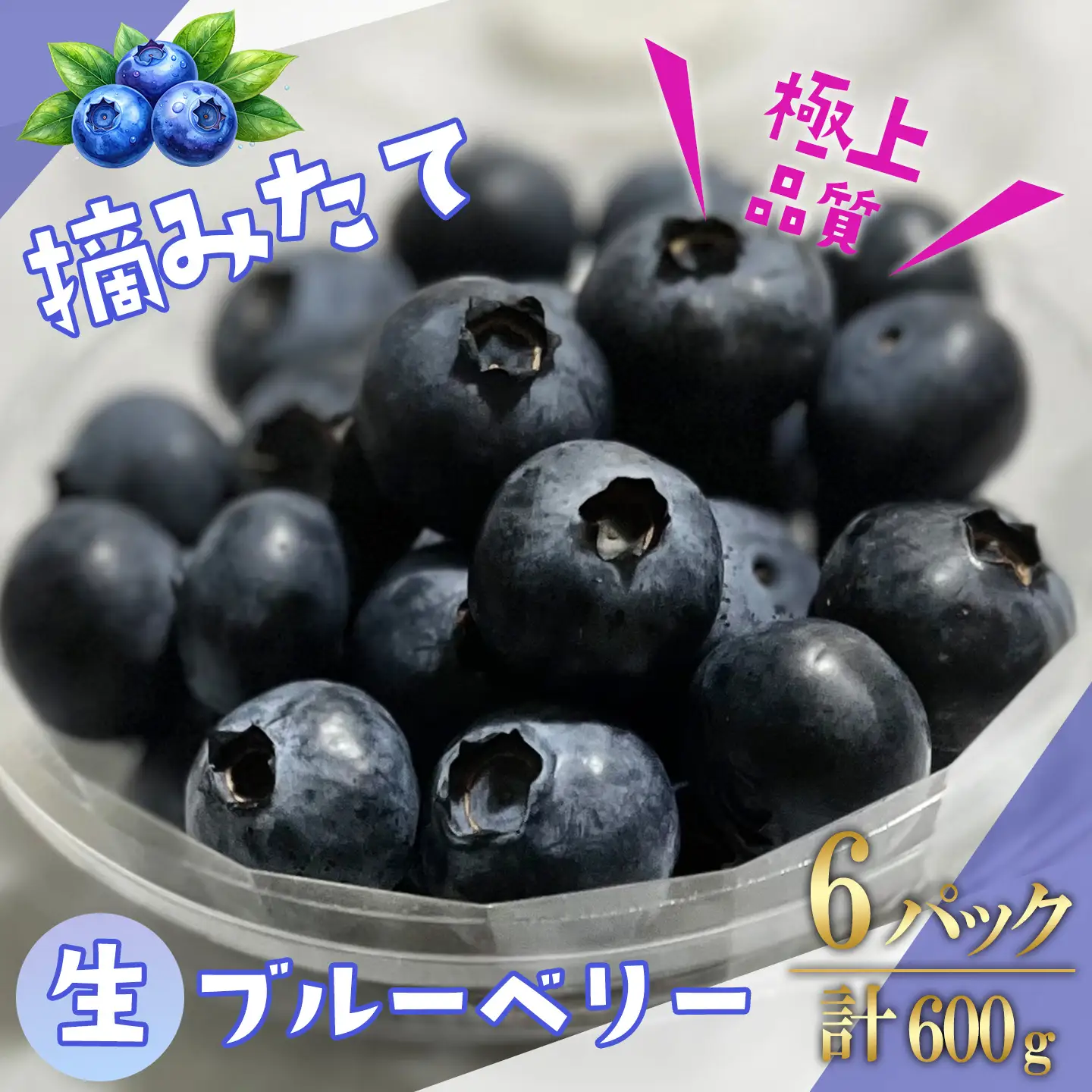 摘みたてブルーベリー 100g×6P 先行予約 ベリー