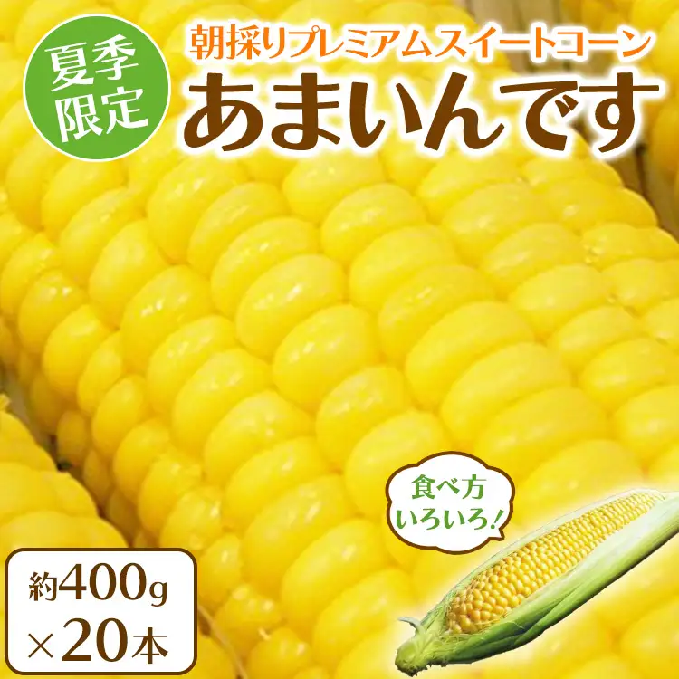 【先行予約】夏季限定 朝採り プレミアムスイートコーン 「あまいんです」 20本 約8kg | 激甘 フルーツとうもろこし 産地直送 ※2026年8月～発送