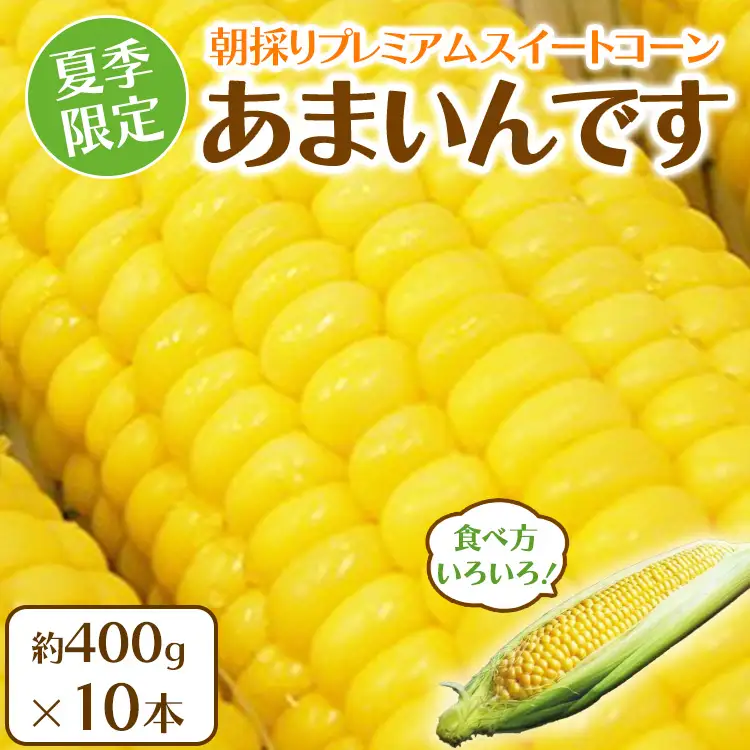 【先行予約】夏季限定 朝採り プレミアムスイートコーン 「あまいんです」 10本 約4kg | 激甘 フルーツとうもろこし 産地直送 ※2026年8月～発送