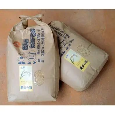 【令和8年産】ひがしとよ里山米 玄米10kg(5kg×2袋)【数量限定先行予約受付】