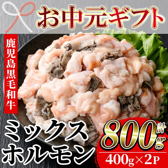 【お中元】鹿児島県産 黒毛和牛 ミックスホルモン 計800g（400g×2P）【00-030-04-R8OC】
