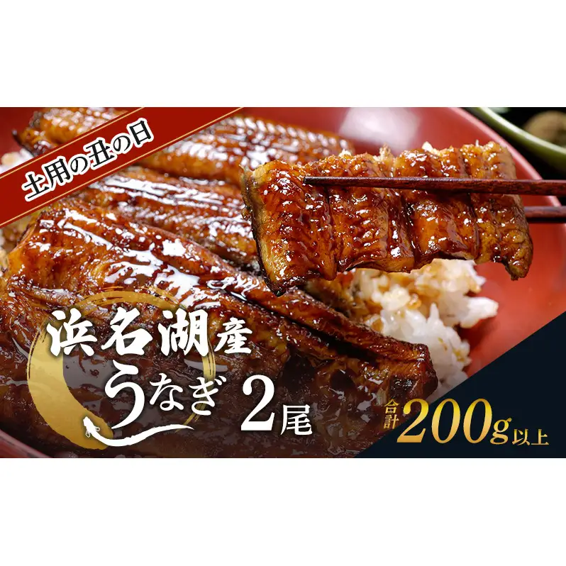 土用の丑の日ギフト 浜名湖産うなぎ 蒲焼 2尾 (100g以上×2本)山椒たれ付き 国産 うなぎセット 国産うなぎ 浜名湖うなぎ 海老仙 静岡 浜松市