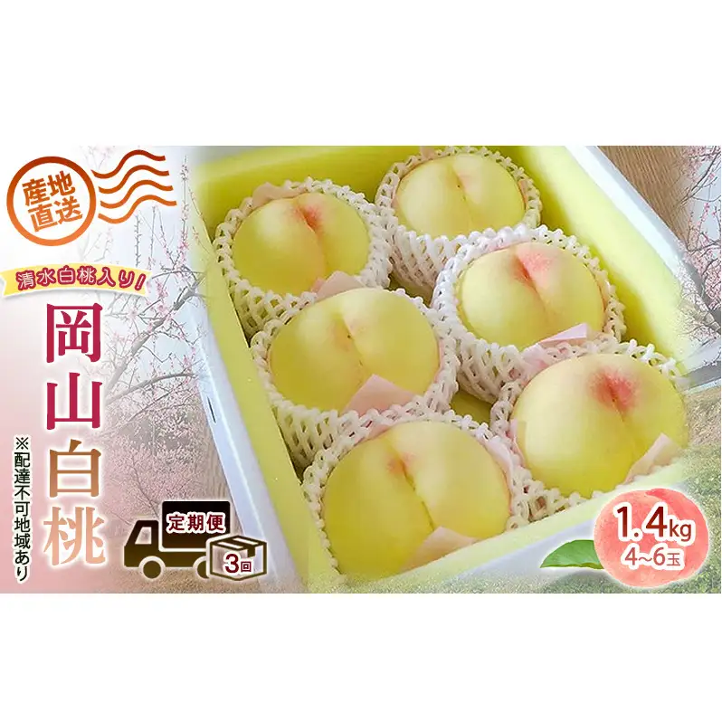 2026年 先行予約 ご家庭用 清水白桃 岡山白桃 食べ比べ定期便 1.4kg(4～6玉) もも モモ 岡山県 国産 フルーツ 果物