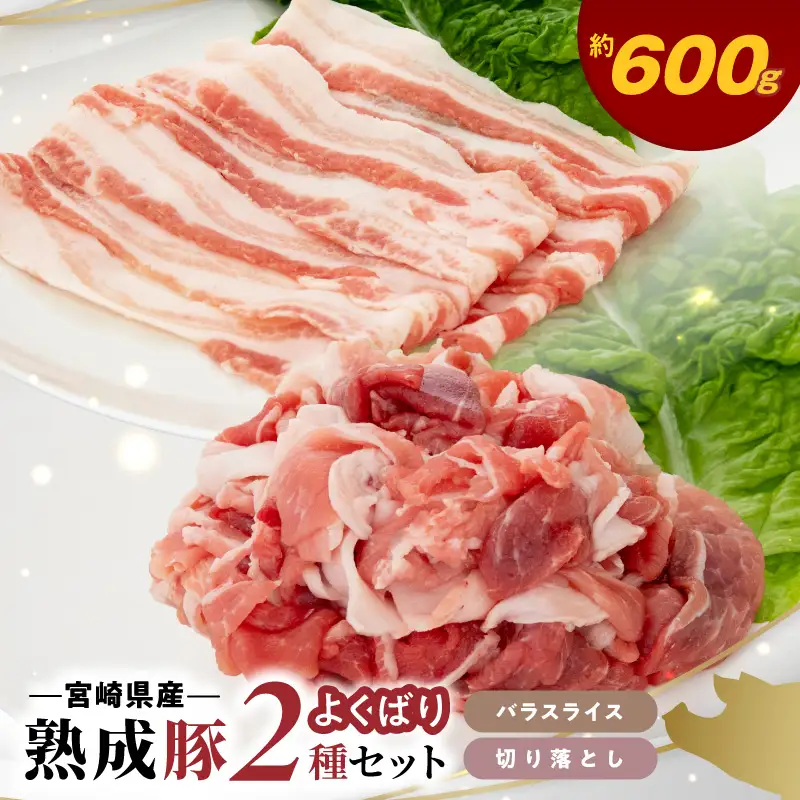 宮崎県産熟成豚 よくばり2種セットA（バラスライス2個/切り落とし1個）N0105-YA2286