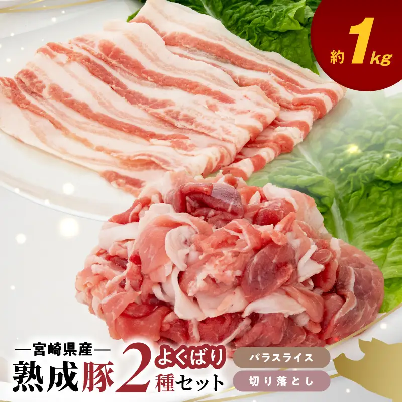 宮崎県産熟成豚 よくばり2種セットB（バラスライス3個/切り落とし2個）N0105-YA6609