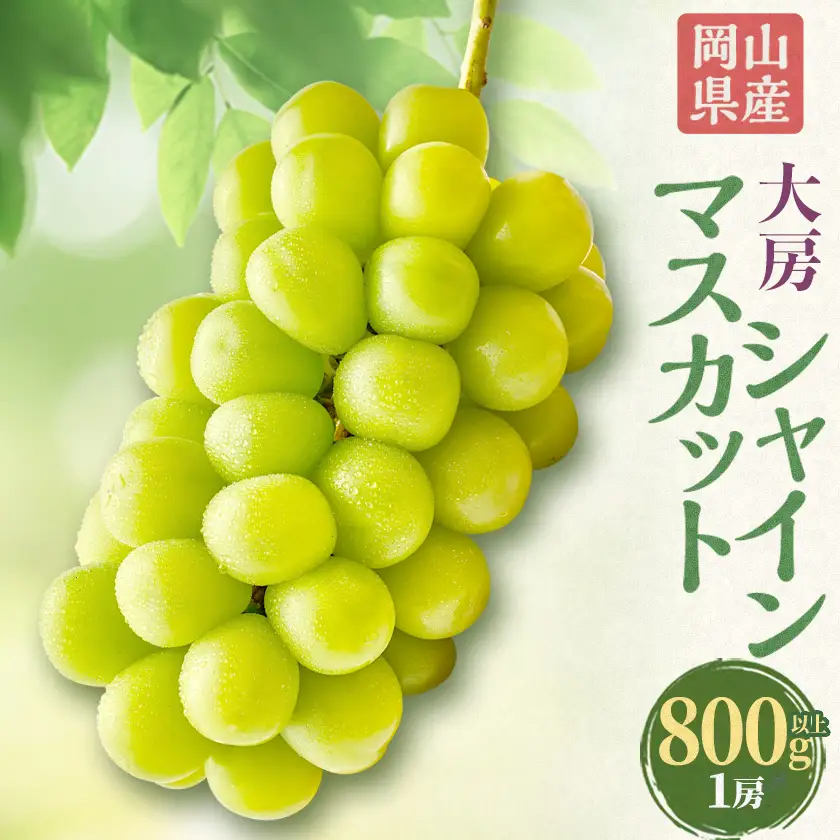 大房シャインマスカット(800g以上)1房【配送不可地域：離島】【1737133】