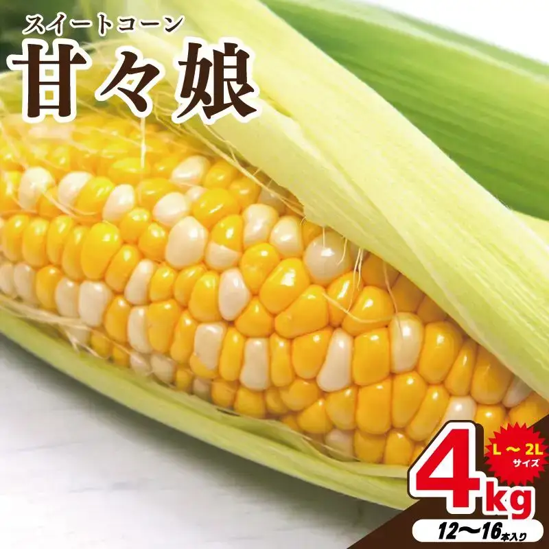 とうもろこし 4kg 甘々娘 とうもろこし