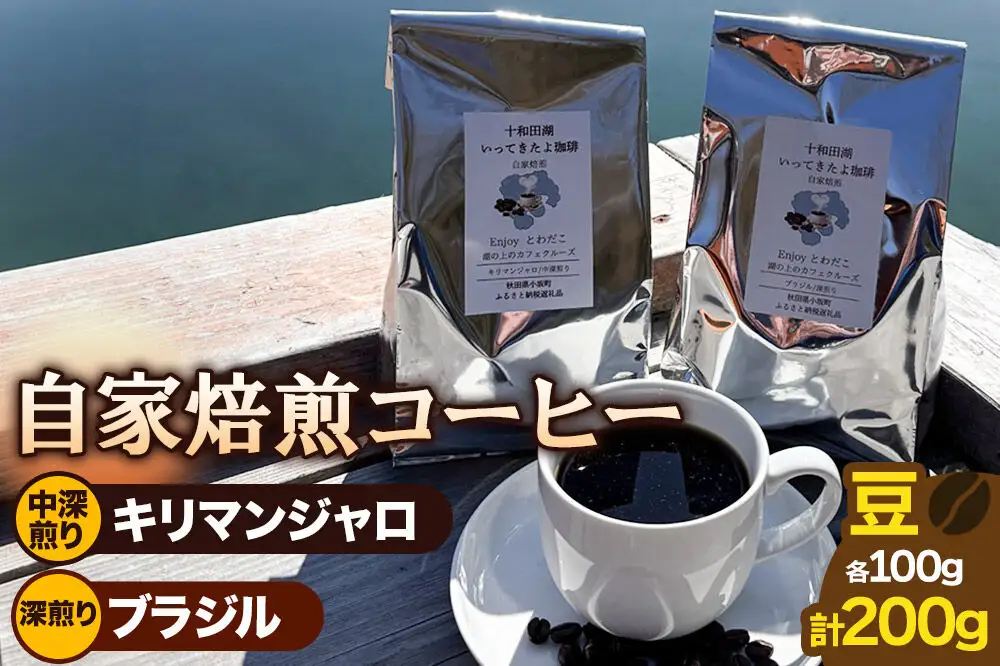 自家焙煎コーヒー キリマンジャロ （AAキボ）／中深煎り＆ブラジル（カンジュク）／深煎り 豆100g 計200g