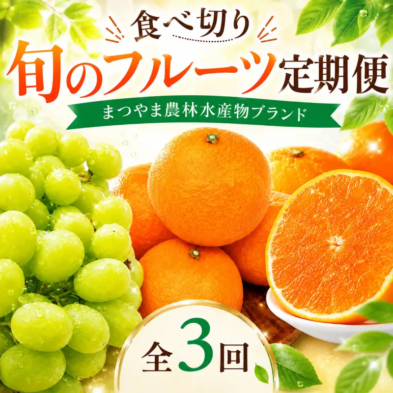 【全3回】食べきり 旬のフルーツ定期便 まつやま農林水産物ブランド | フジ・アグリフーズ みかん 愛媛蜜柑 愛媛ミカン みかん ミカン mikan 蜜柑 柑橘 フルーツ 果物 シャインマスカット ぶどう 数量限定 人気 おすすめ 愛媛県 松山市 送料無料【FA121】