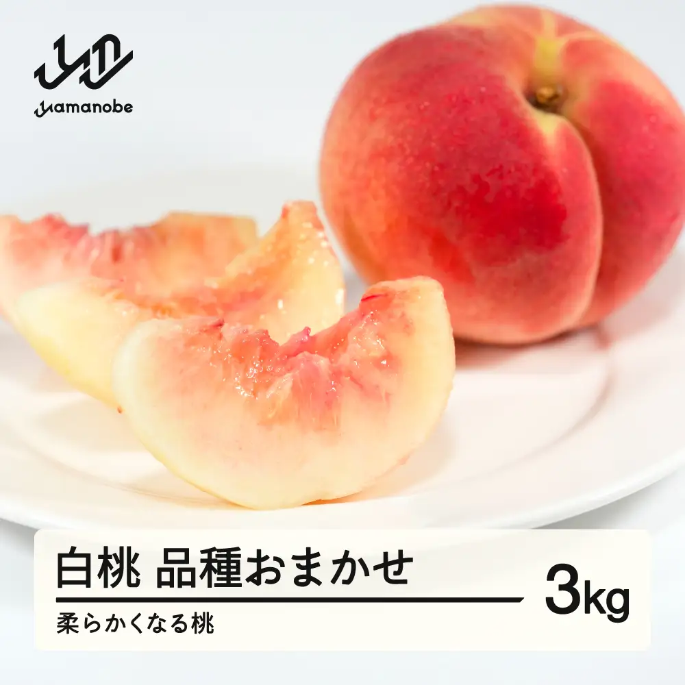 《先行予約》2026年 山形県産 白桃 柔らかくなる桃 品種おまかせ 3kg  ※沖縄・離島への配送不可 ts-mohtx3
