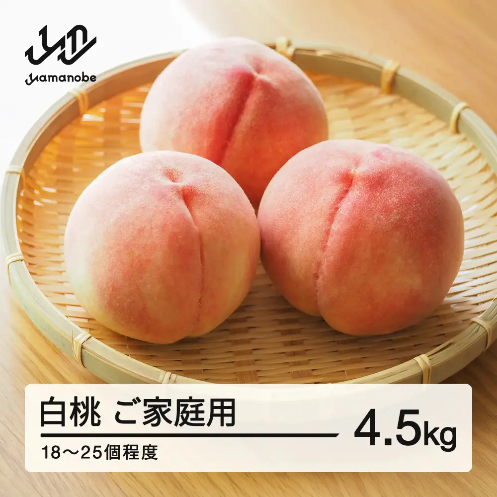 《先行予約》2026年 山形県産 白桃 柔らかくなる桃 品種おまかせ ご家庭用 4.5kg  ※沖縄・離島への配送不可 ts-mohtk4500