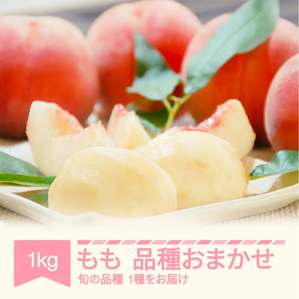 先行予約 白桃 品種おまかせ 約1kg 令和8年産 mm-moomx1000