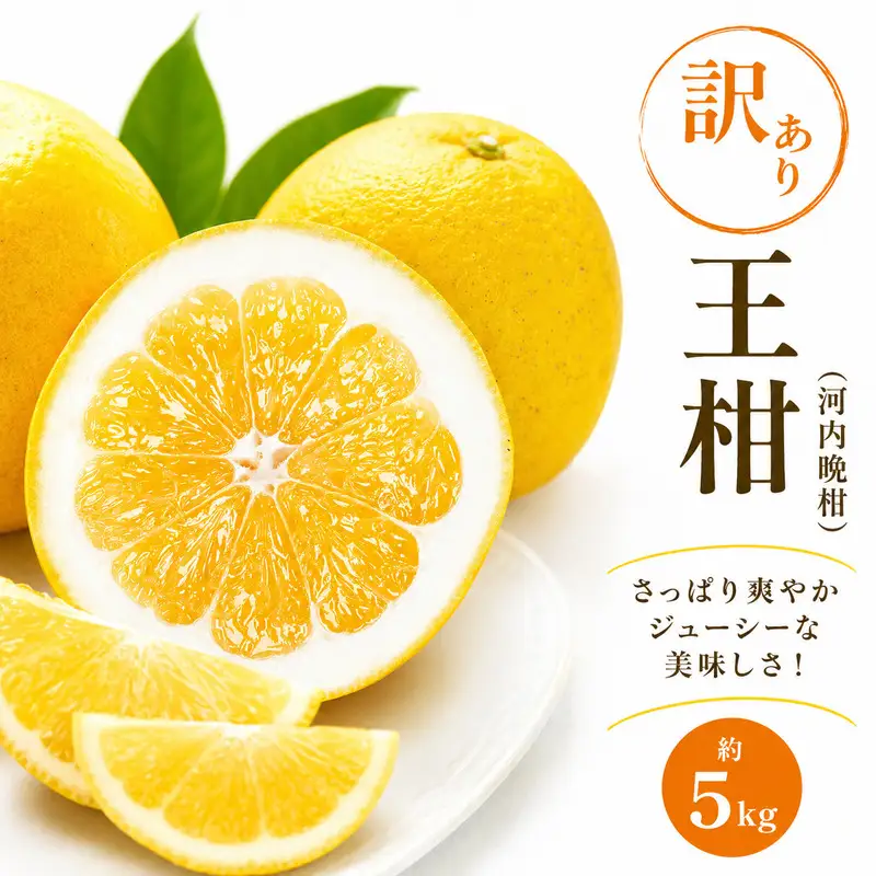 訳あり 河内晩柑 王柑 5kg サイズミックス (M~4L) 愛南町 大串農園