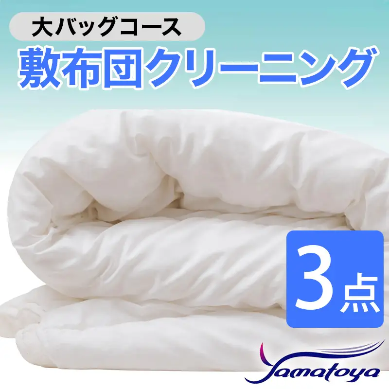 敷布団クリーニング 3点パック 大バッグコース 【丁寧 丸洗い セミダブル 敷き布団 寝具 こたつ 丸洗い クリーニング シーツ 高品質ヤマトヤクリーニング 糸魚川 帰省 年末年始 実家 寝具 布団クリーニング】