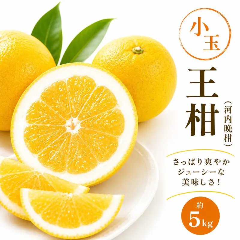 河内晩柑 王柑 小玉 5kg サイズミックス (S～2S) 愛南町 大串農園
