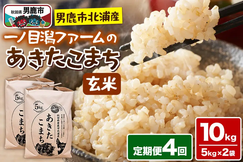食品 日本産白米 5kg & 秋田県産ブレンド米 10kg他 合計25キロ