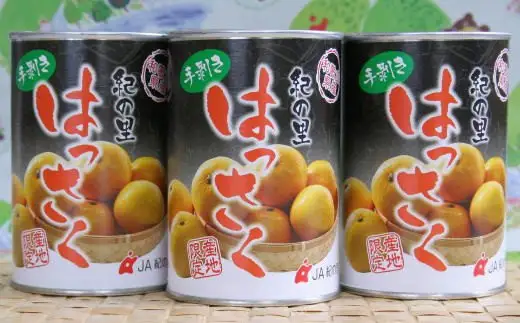 和歌山産 手剥き 八朔 缶詰 450g×8缶入り【tec107-450-8A】