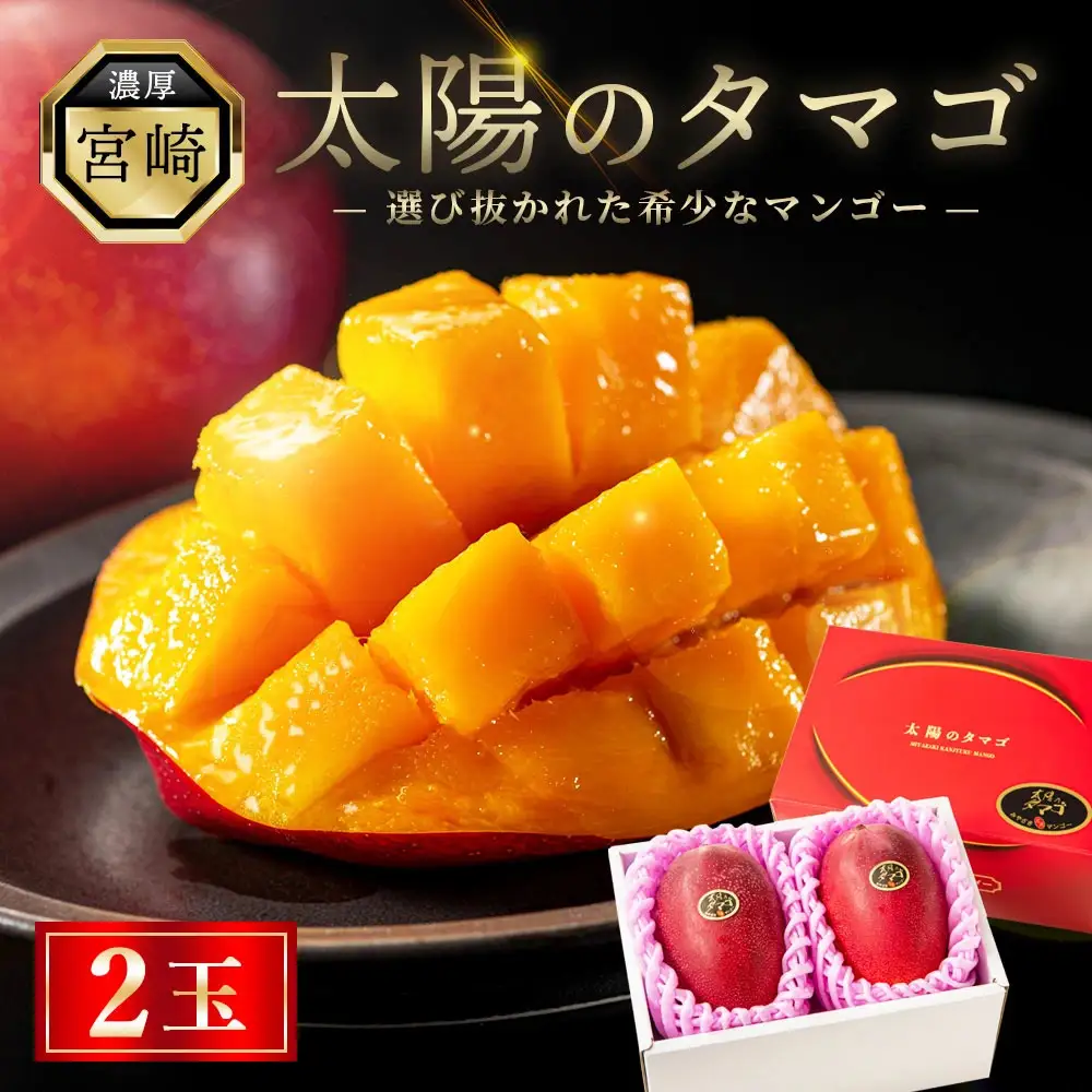 完熟マンゴー『太陽のタマゴ』２玉（約１kg）【JA綾町】_A0114-1001