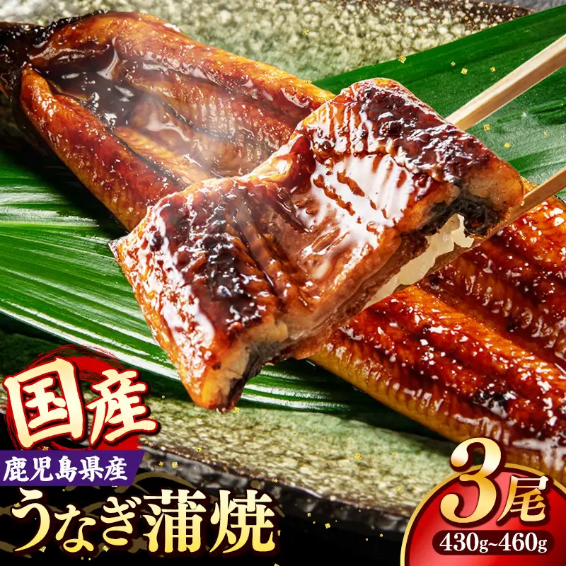 国産 うなぎ 蒲焼き（鹿児島県産） 3尾 (430〜460g) 【国産100％ 鰻 ウナギ 蒲焼 土用丑の日 丑の日 冷凍 魚介 海鮮 おかず お祝い ご褒美 贅沢 おすすめ 人気 花立山養鰻 福岡県 筑前町 HY002】