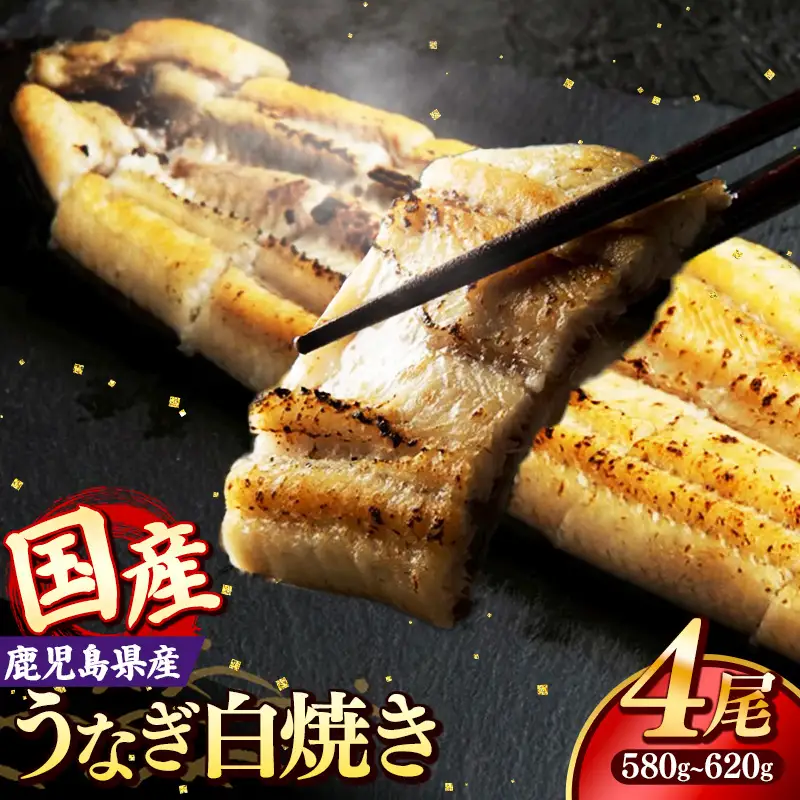 国産 うなぎ 白焼き（鹿児島県産） 4尾 (580〜620g) 【国産100％ 鰻 ウナギ 白焼 土用丑の日 丑の日 冷凍 魚介 海鮮 おかず お祝い ご褒美 贅沢 おすすめ 人気 花立山養鰻 福岡県 筑前町 HY007】
