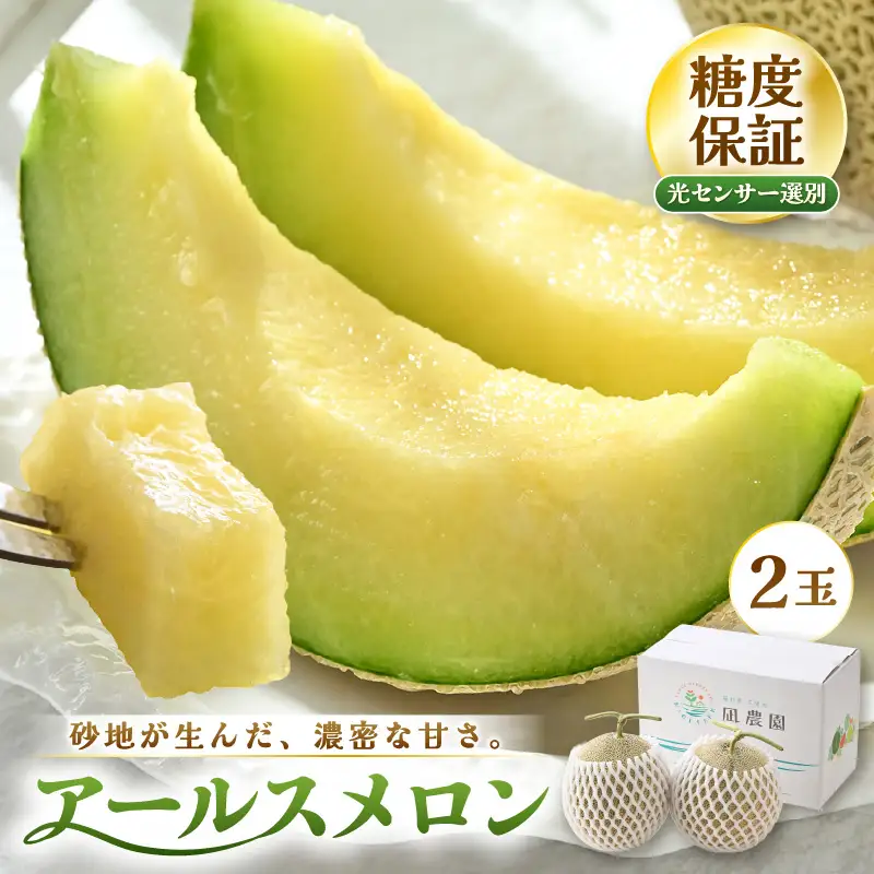 先行予約  アールスメロン (緑肉) 2玉 糖度15度以上 2026年9月上旬以降順次発送予定 [C-22101]
