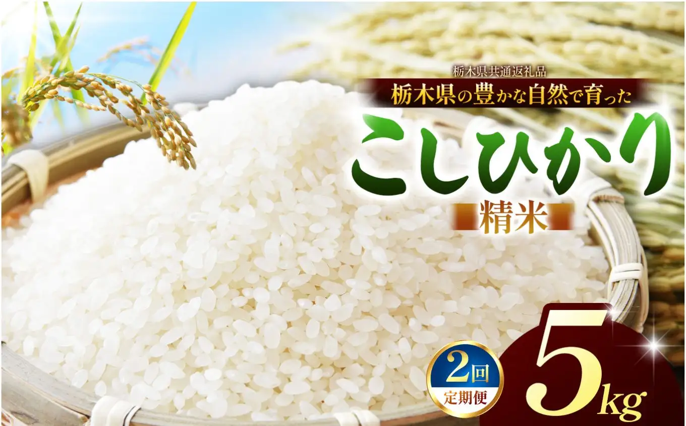 【栃木県共通返礼品】【定期2回】コシヒカリ 白米 5kg |【令和８年度産】 栃木県 那珂川町 送料無料