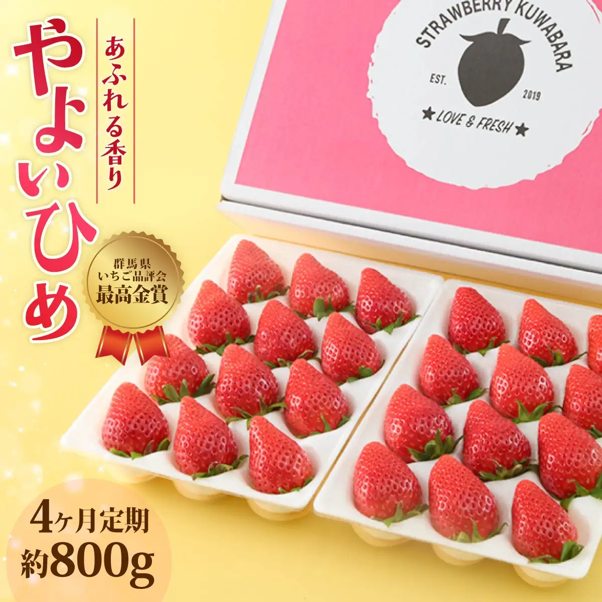 いちご やよいひめ 約800g いちご 4ヶ月定期便