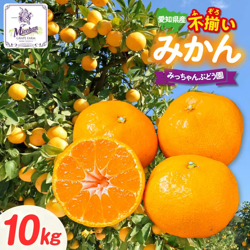 【先行予約】【2026年12月発送】【訳あり】不揃いみかん・10kg×1箱