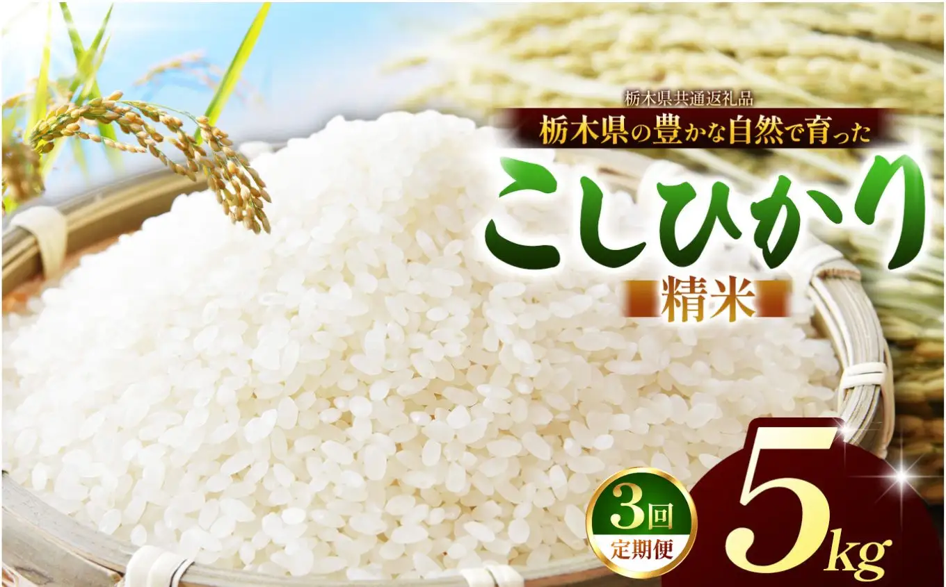 【栃木県共通返礼品】【定期3回】コシヒカリ 白米 5kg | 令和８年度産 栃木県 那珂川町 送料無料