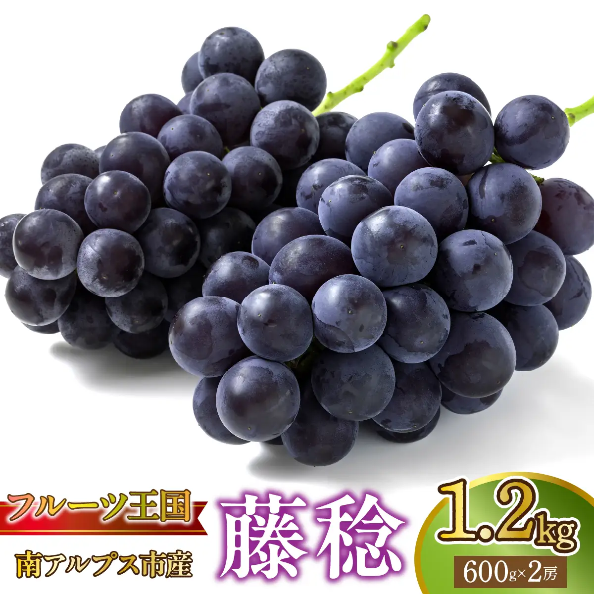 ＜2026年発送★先行予約＞【鈴木ぶどう園】山梨県南アルプス市産 藤稔　約1.2kg(600ｇ×2房) ALPGF002