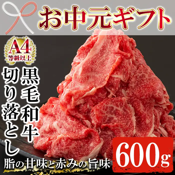 【お中元】牛肉 鹿児島県産 切り落とし 約600g 牛肉  【00-030-11-R8OC】