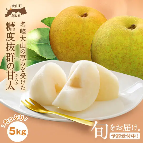 YN-04　鳥取県産和ナシ 甘太梨5kg