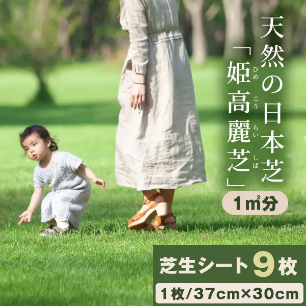 YG-03　天然の日本芝大人気品種「姫高麗芝」1平方メートル分