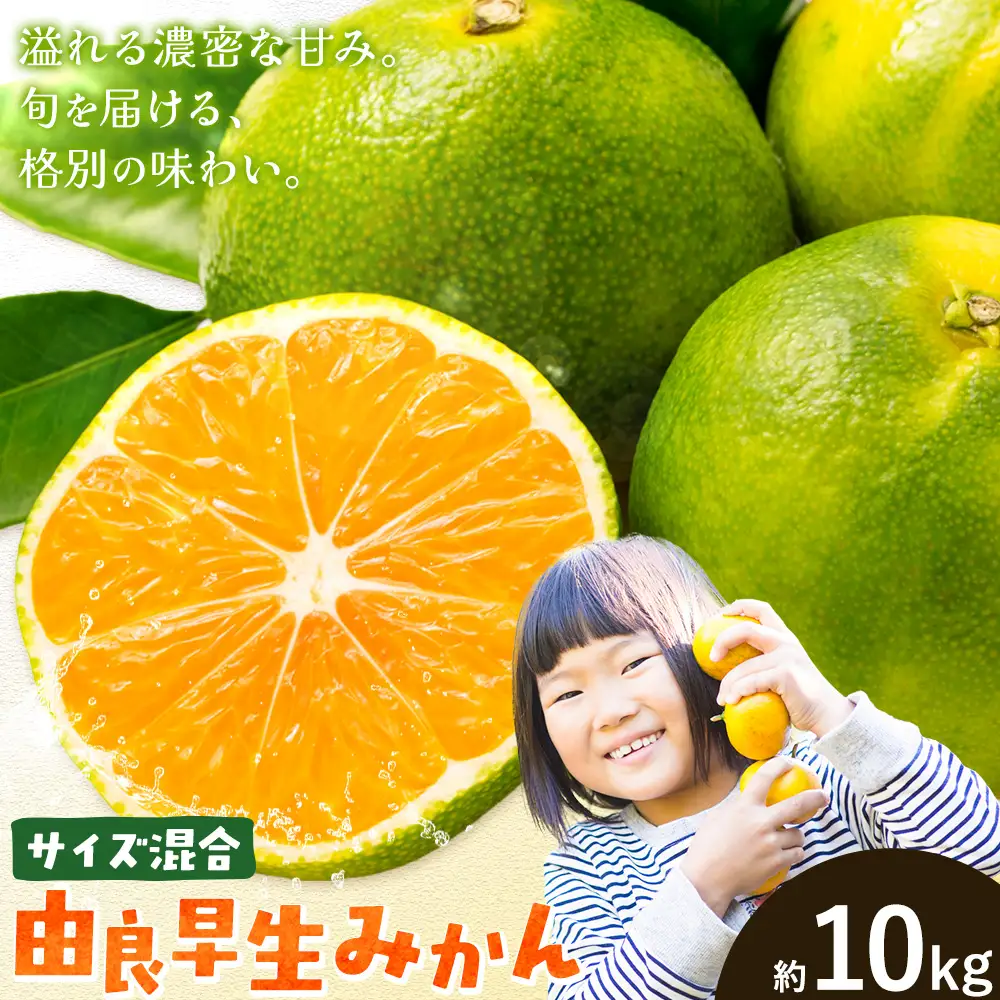 みかん 由良 早生 みかん 約10kg エイワ商店