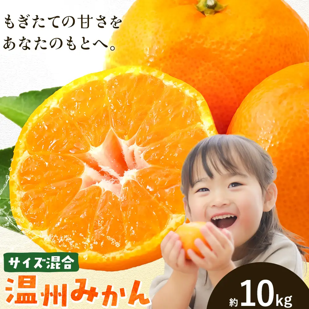 みかん 温州 みかん 約10kg エイワ商店