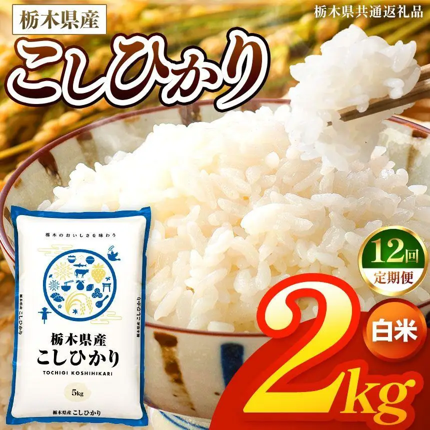 【令和8年産 新米】 【定期便12回】栃木県産 お米 こしひかり　（白米） 2kg 【2026年秋 先行予約】 |  栃木県 矢板市 【栃木県共通返礼品】